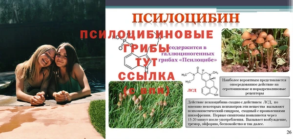 дмт Михайловск